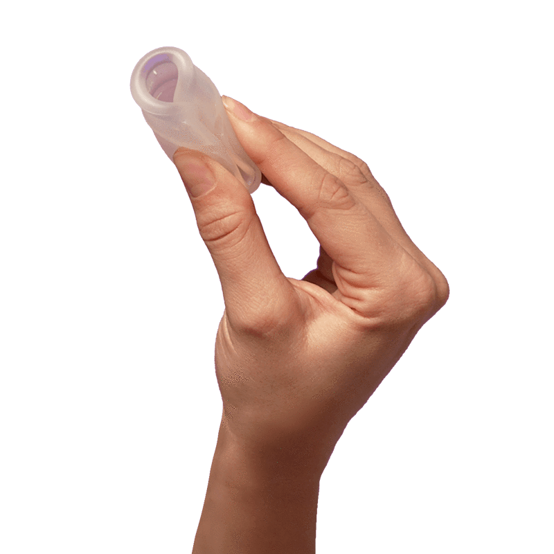 画像をギャラリービューアに読み込む, ディーバカップ モデル0